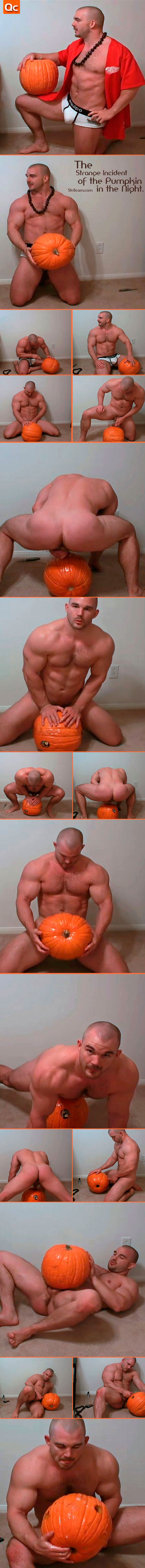 str8cam pumpkin