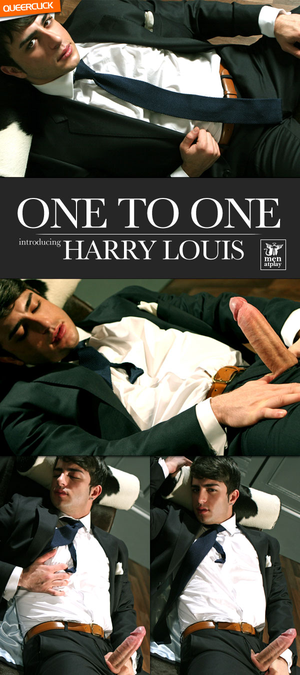 Men At Play: One To One - Harry Louis