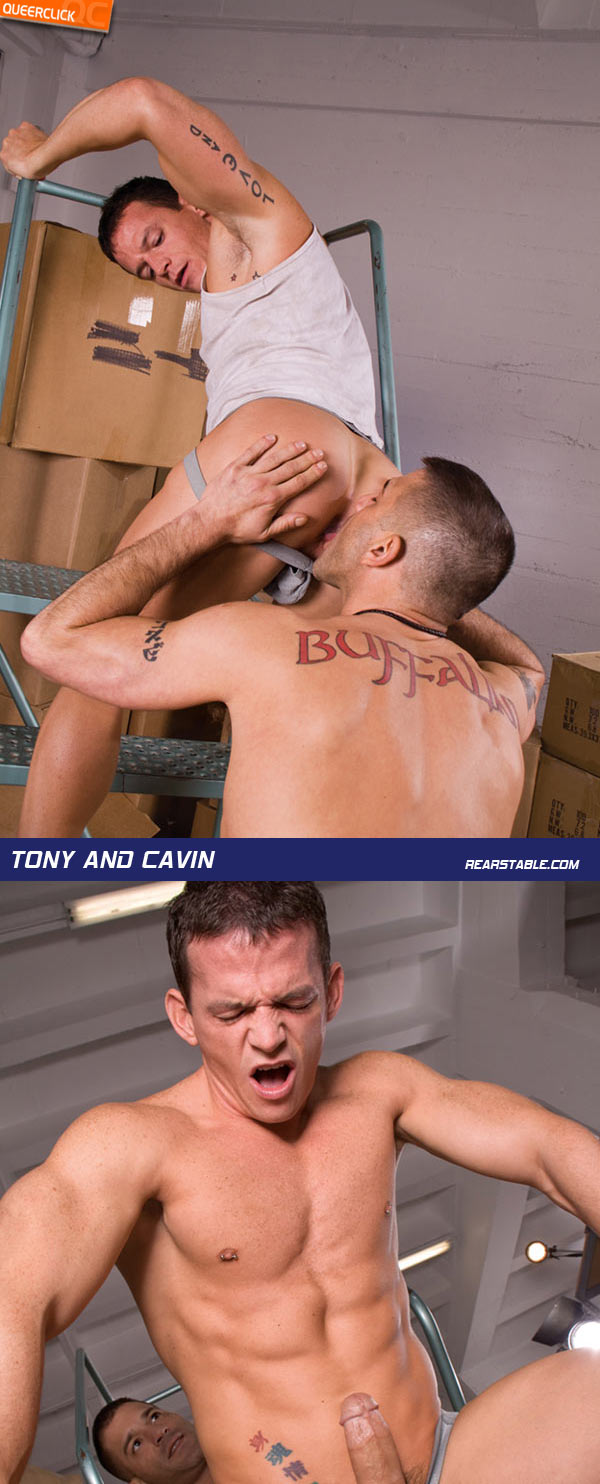 rear stable cavin tony