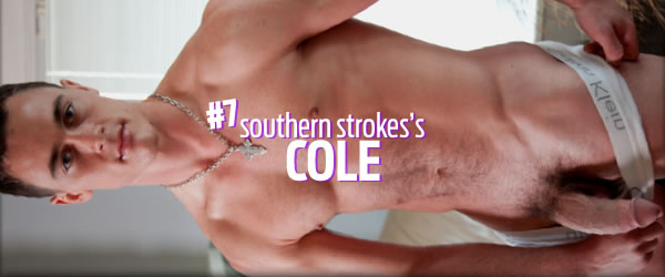 Southern Strokes: Cole