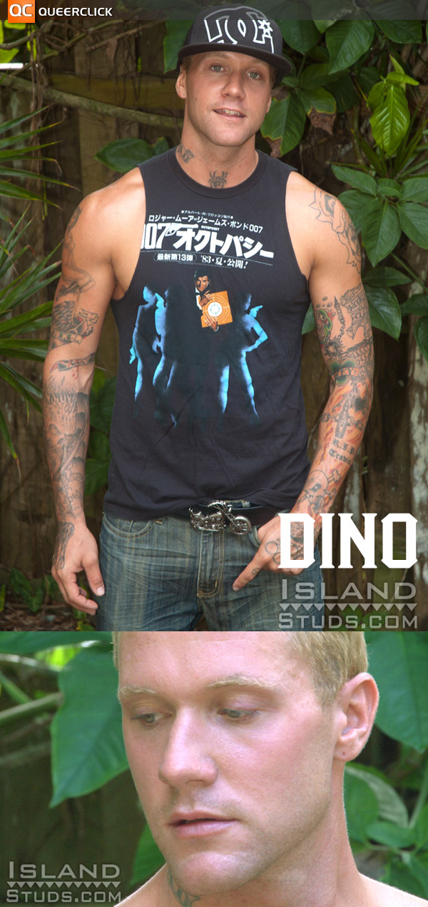 Dino at Island Studs