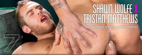 Raging Stallion: Shawn Wolfe and Tristan Matthews