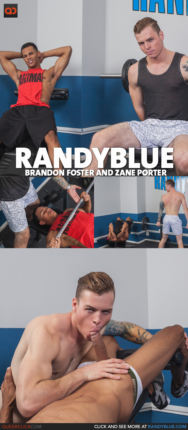 randy blue zane brandon