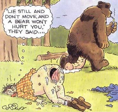 Bear advice
