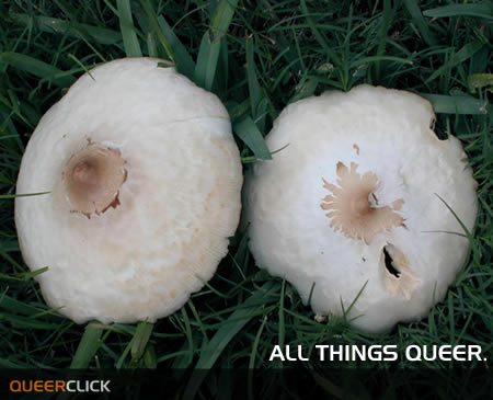 QC - ToadstOOls!