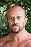 Matt Stevens