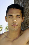 Murray (SeanCody)