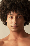 Profile Picture Panterino