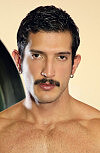 Profile Picture Sir Armas