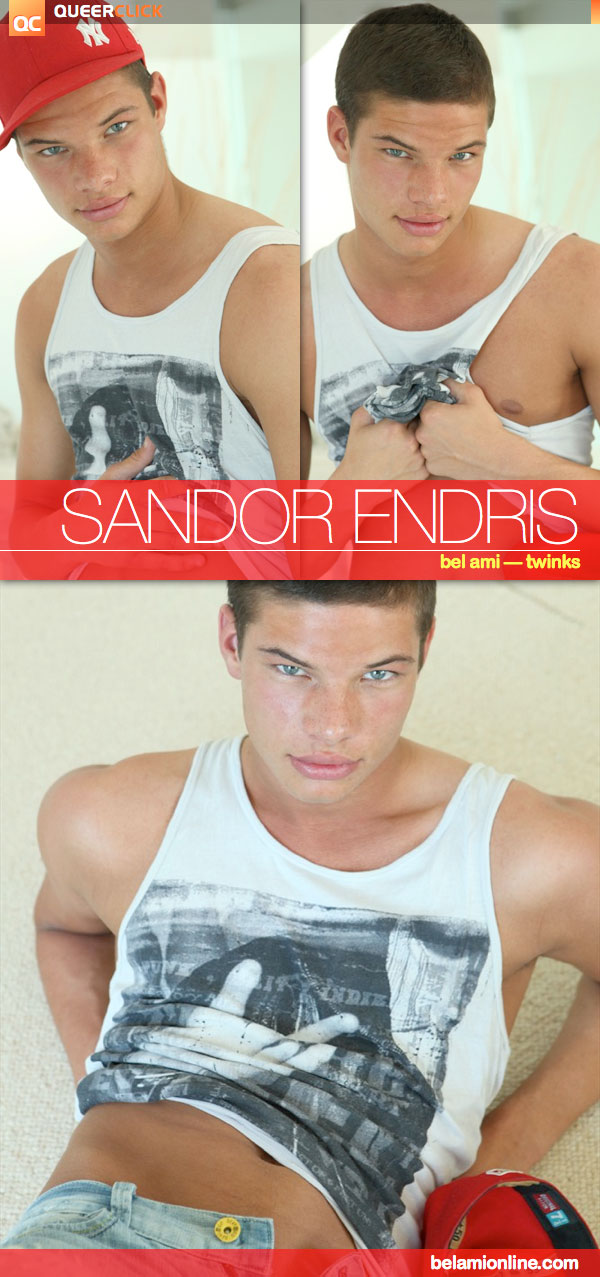 Bel Ami: Sandor Endris