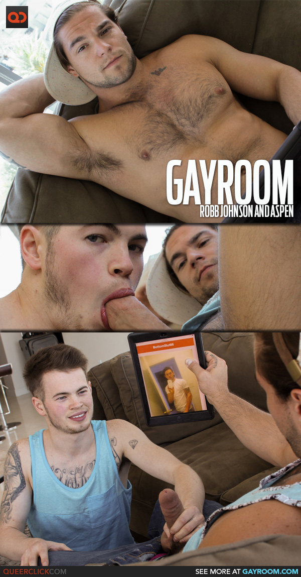 gayroom-robb-aspen