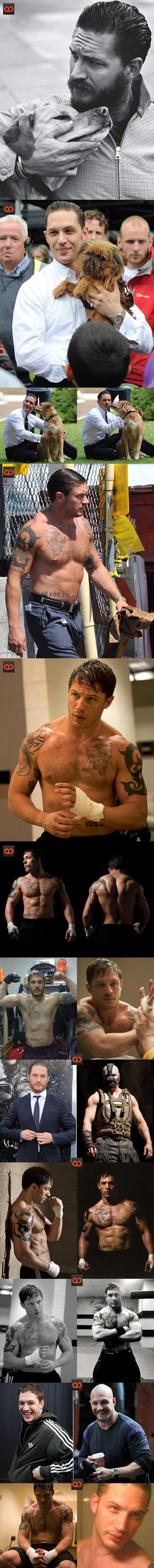 QC's Wish You Were Queer: Tom Hardy