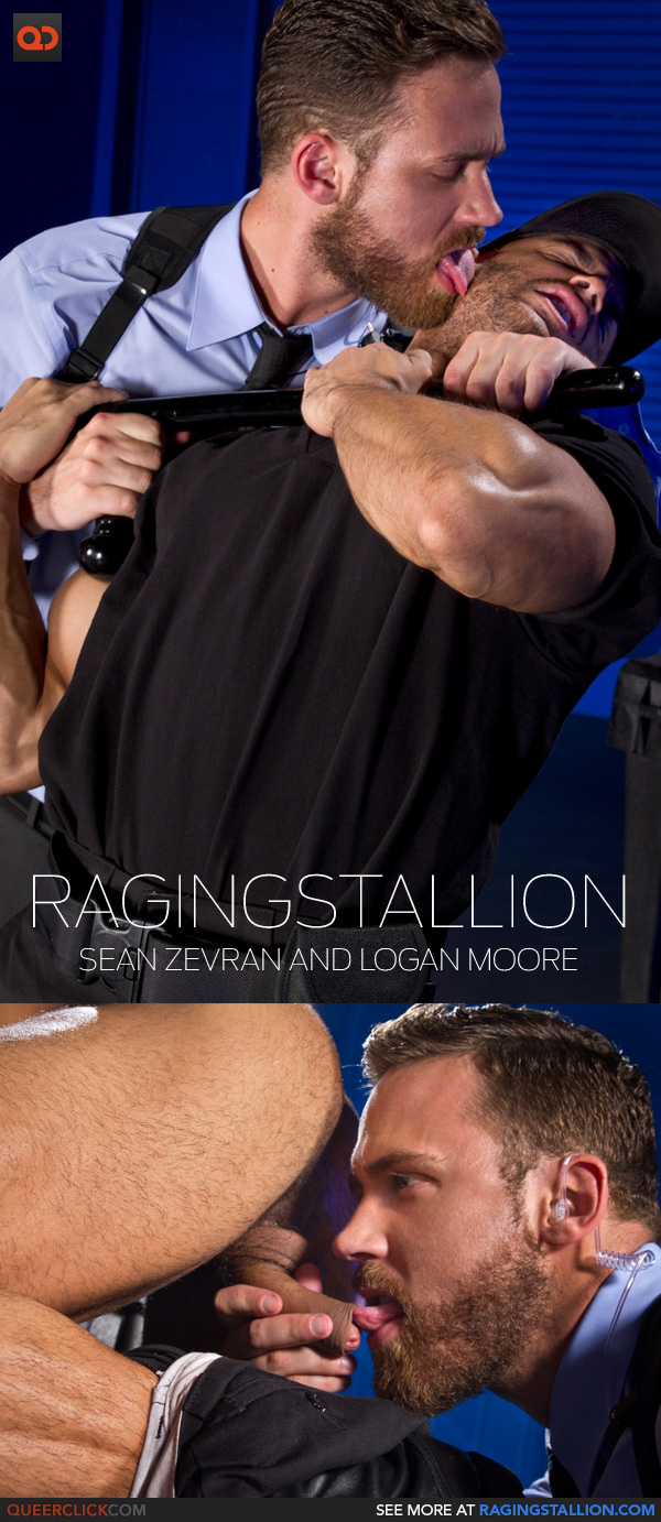 raging-stallion-sean-logan