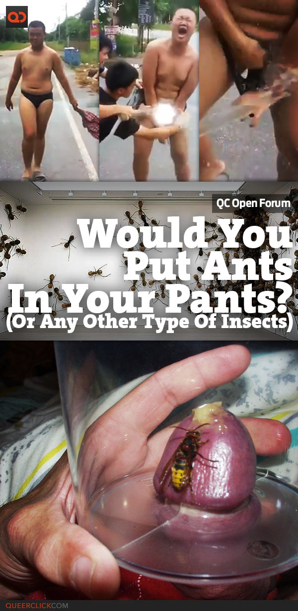 QC Open Forum: Would You Put Ants In Your Pants?