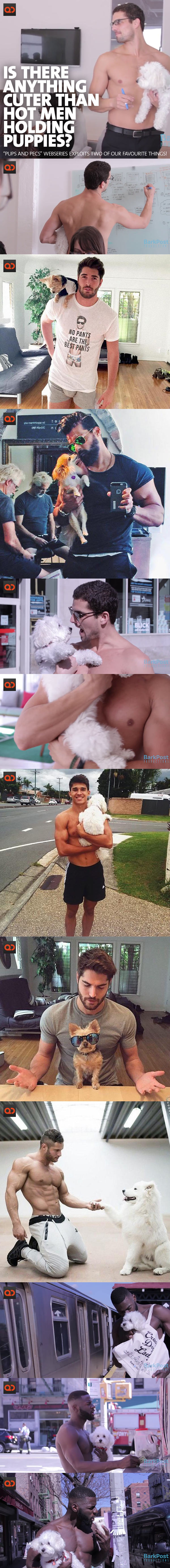 Is There Anything Cutter Than Hot Men Holding Puppies?  “Pups and Pecs” WebSeries Exploits Two Of Our Favourite things!