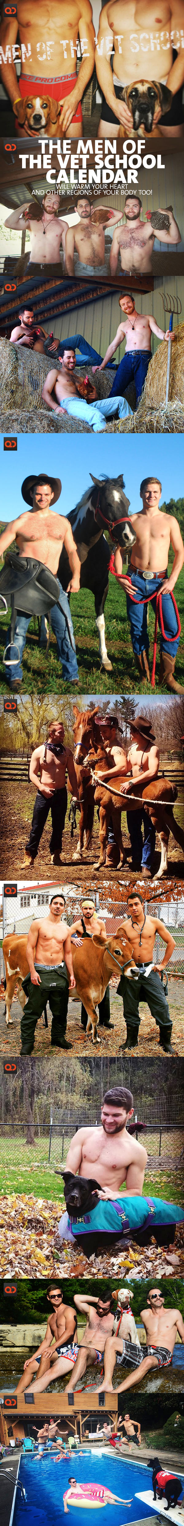 The Men Of The Vet School Calendar Will Warm Your Heart And Other Regions Of Your Body Too!