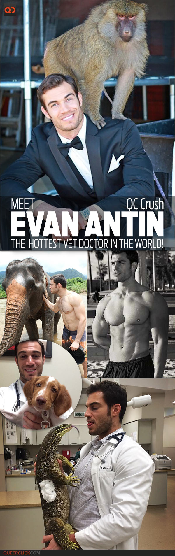 QC Crush: Meet Evan Antin, The Hottest Vet Doctor In The World!