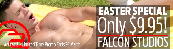 sticky_highlight-falcon_easter_special-banner