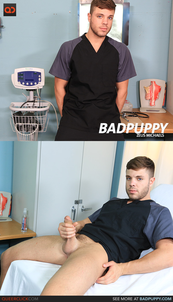 BadPuppy: Zeus Michaels