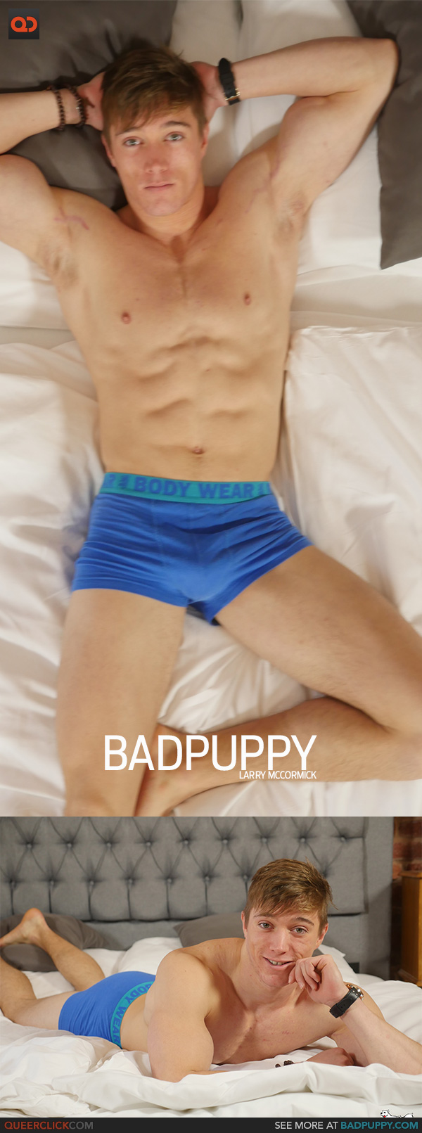 BadPuppy Larry McCormick picture