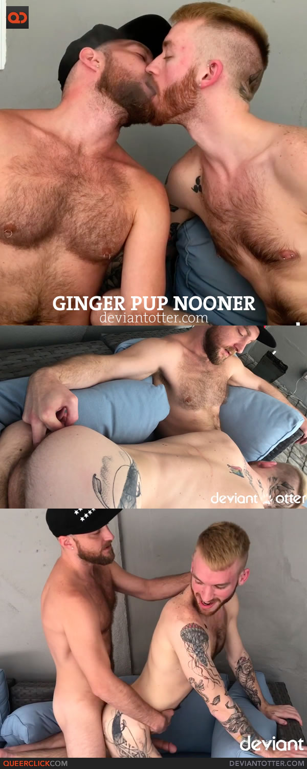 Deviant Otter: Ginger Pup Nooner
