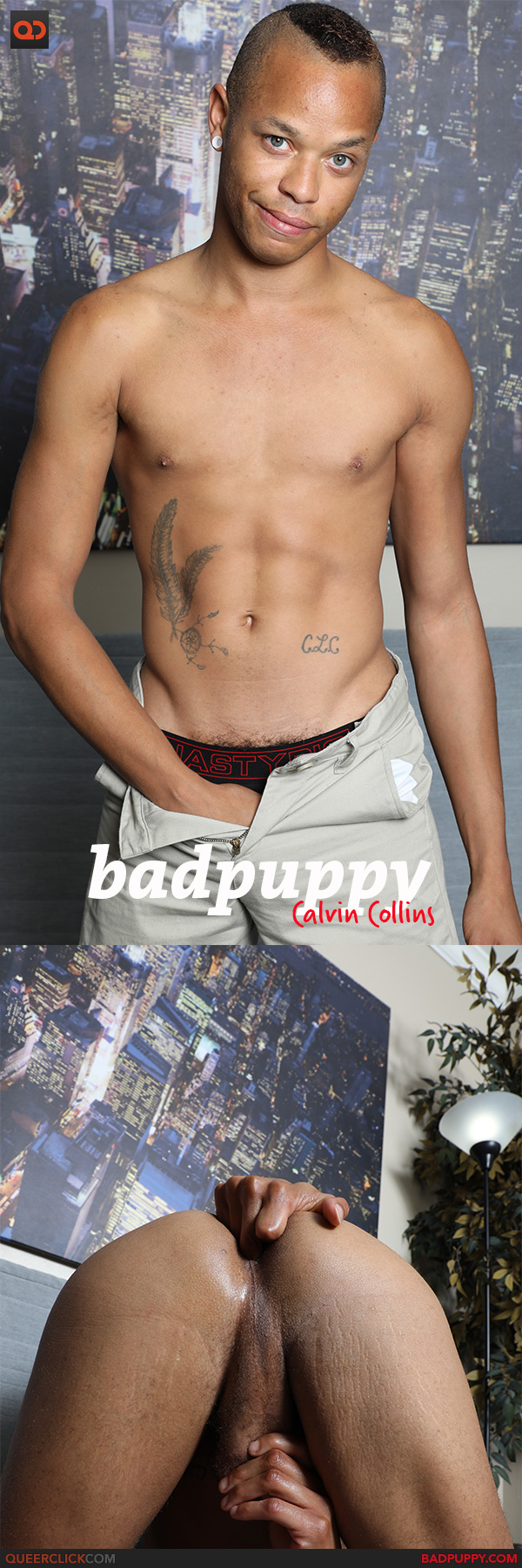 BadPuppy: Calvin Collins