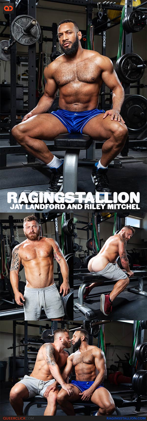 Raging Stallion: Jay Landford and Riley Mitchel