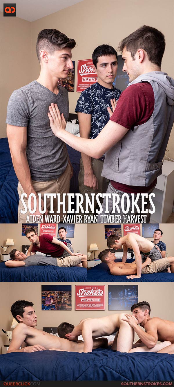 Southern Strokes: Aiden Ward, Xavier Ryan and Timber Harvest