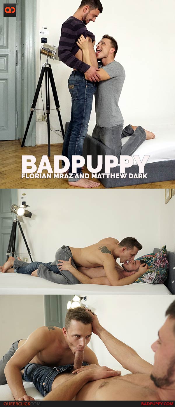 BadPuppy: Florian Mraz and Matthew Dark