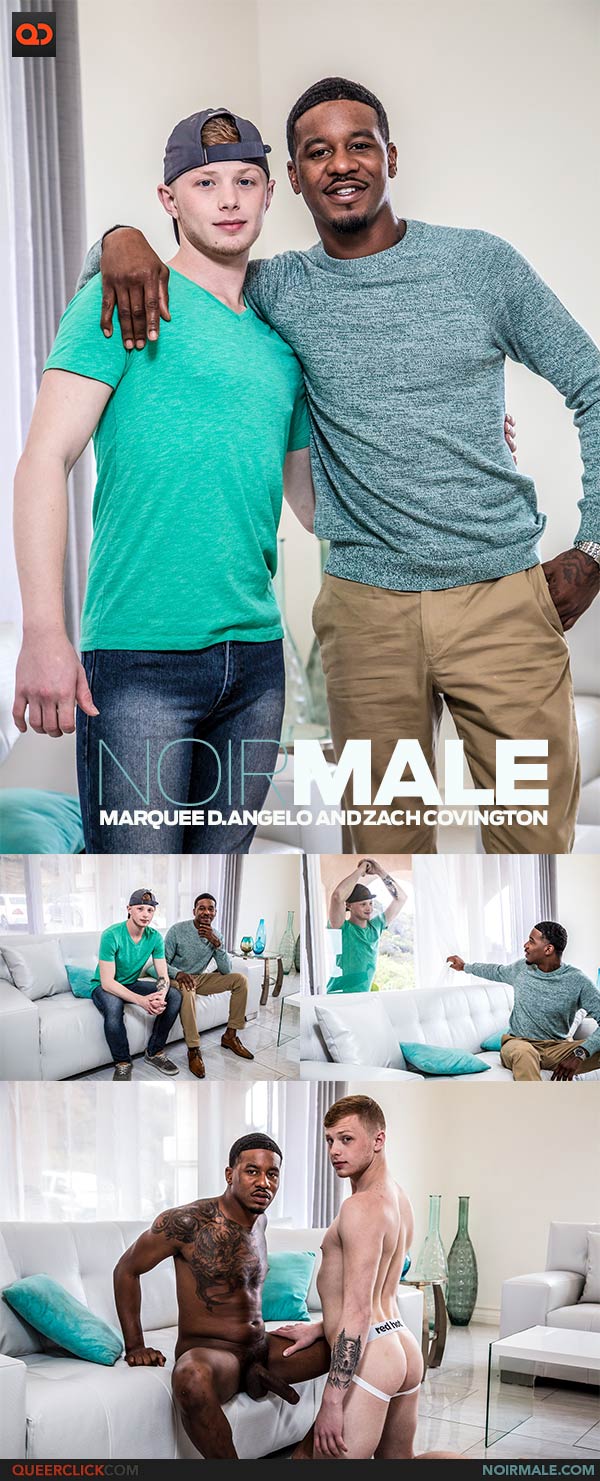 Noir Male: Marquee D.Angelo and Zach Covington