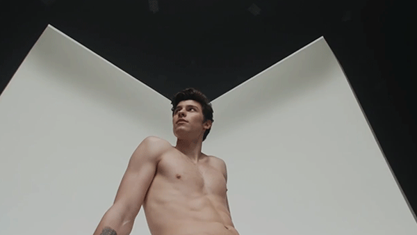 Shawn Mendes Does It Again With New Visuals From His Calvin Klein Campaign!