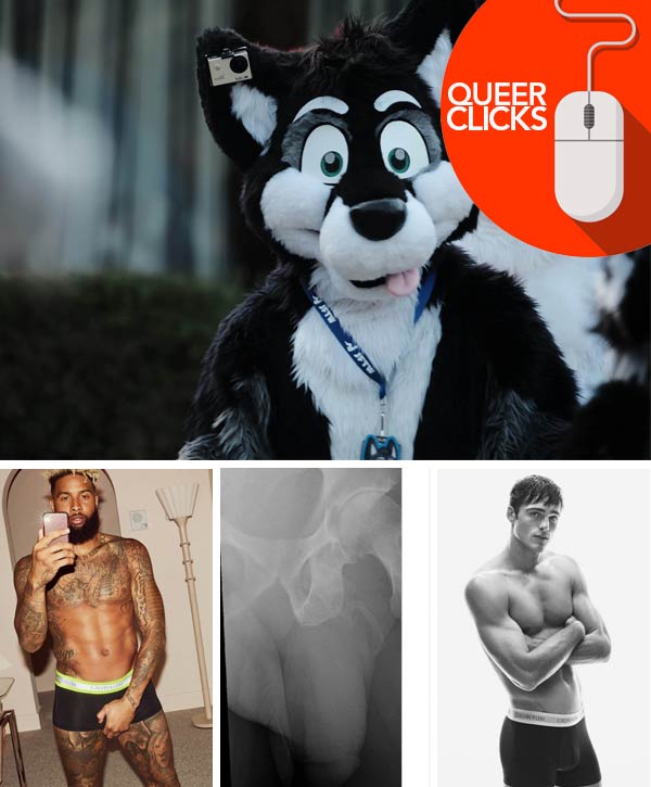 Queer Clicks: August 14 | These are the Best Gay Furry Porn Comics, Games,  and Sites, NFL Star Odell Beckham Jr. Defends Sexual Orientation After  Being Mocked for Calvin Klein Underwear Shoot,