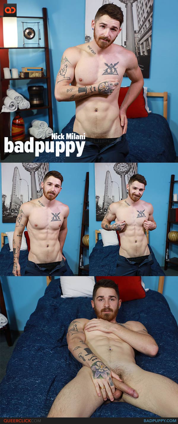 BadPuppy: Nick Milani