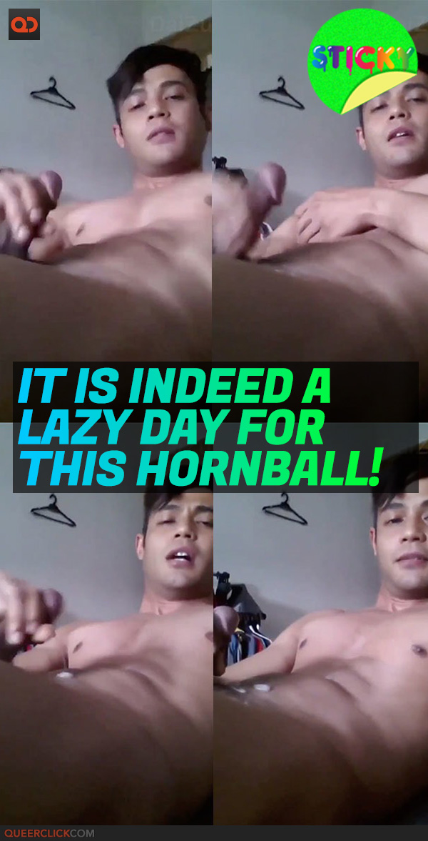 It Is Indeed A Lazy Day For This Hornball!