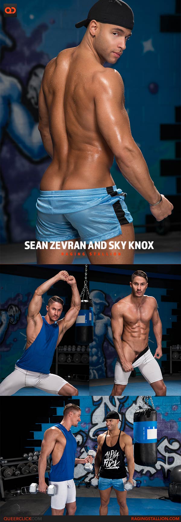RagingStallion: Sean Zevran and Sky Knox
