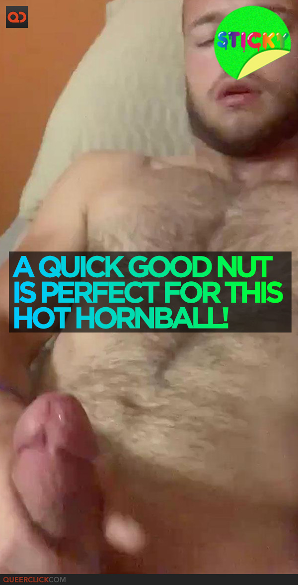A Quick Good Nut is Perfect For This Hot Hornball!