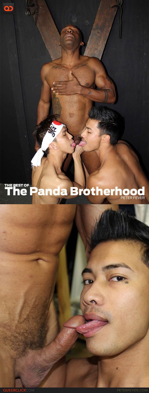 Peter Fever: Panda Brotherhood's Hottest Moments