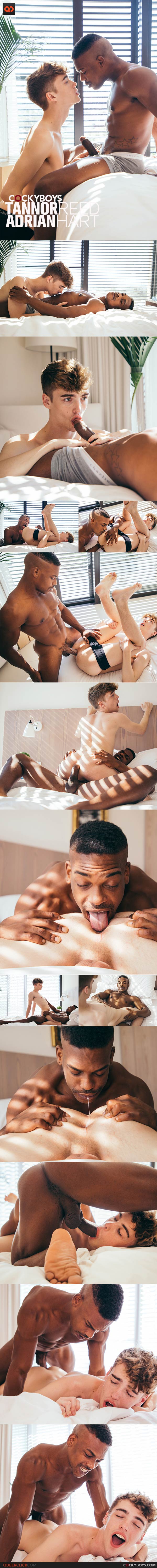 CockyBoys: Tannor Reed and Adrian Hart