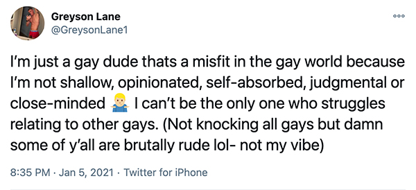 Greyson Lane Shared A Lengthy Statement About His Take on Gay Culture