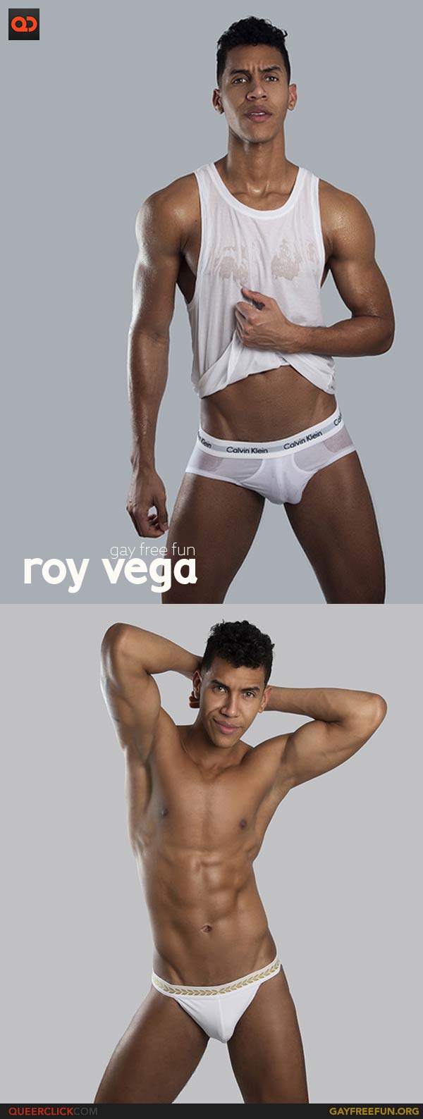 Gay Free Fun: Roy Vega