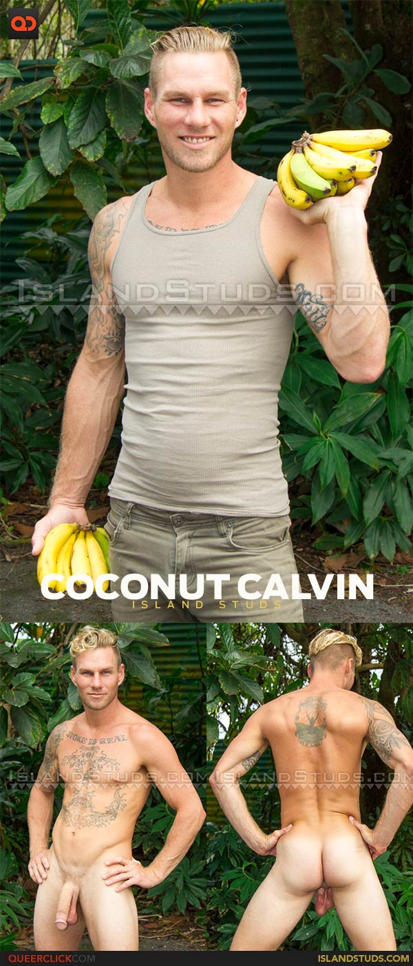 Island Studs: Coconut Calvin