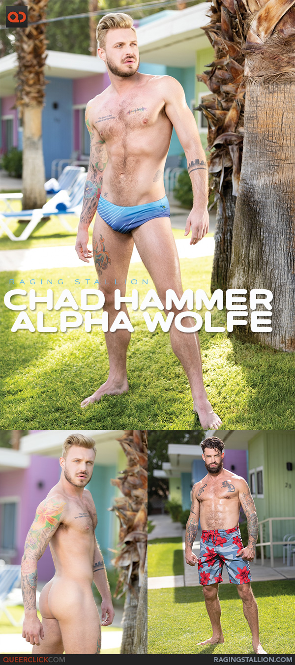 Raging Stallion: Chad Hammer and Alpha Wolfe