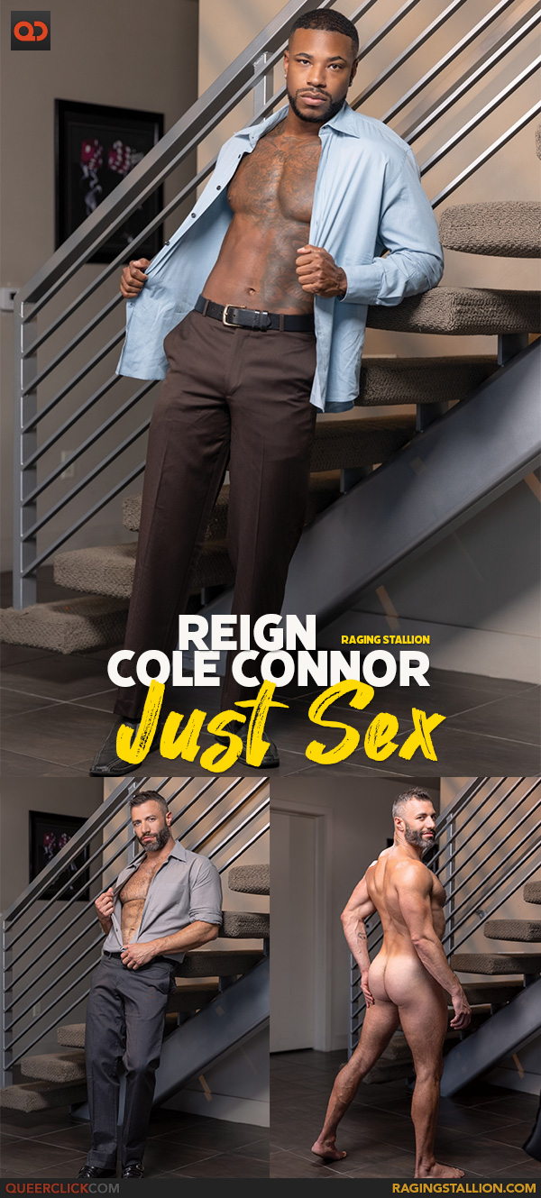 Raging Stallion: Cole Connor and Reign