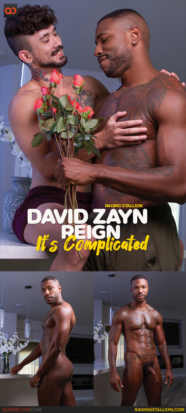 Raging Stallion: David Zayn and Reign - It's Complicated