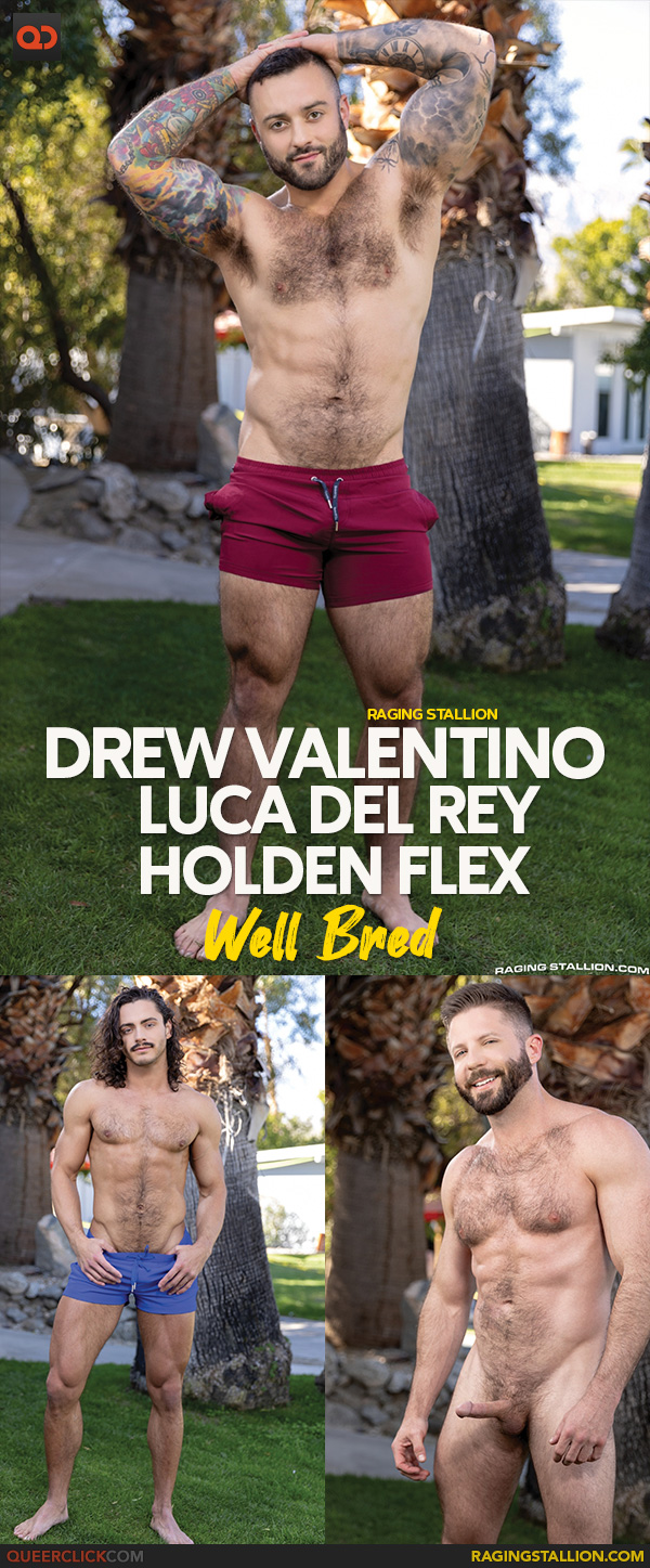 Raging Stallion:  Drew Valentino, Luca del Rey and Holden Flex - Well Bred