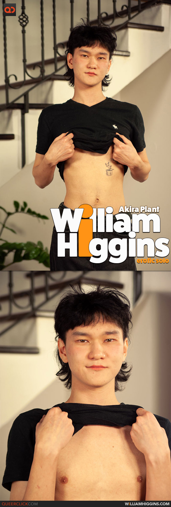 William Higgins: Akira Plant