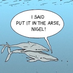 Porn Break: War and Peas Sharks-Fucking-in-the-ass-
