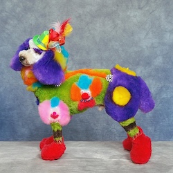 Porn Break: The Weird World of Competitive Dog Grooming crazy-poodle-dog-grooming-tn