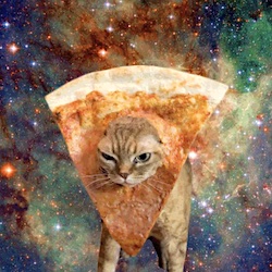 Porn Break: Cats In Space Cats-In-Space