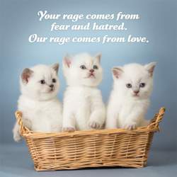 socialjusticekittens7_tn2